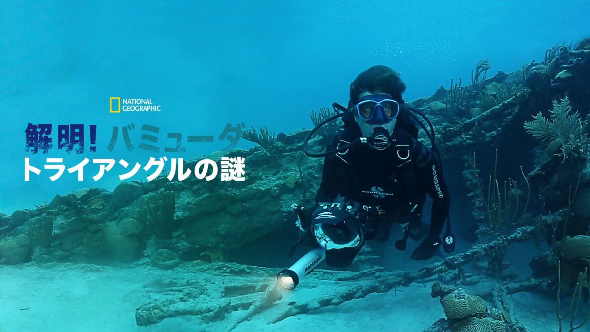 解明！バミューダ・トライアングルの謎 Disney+