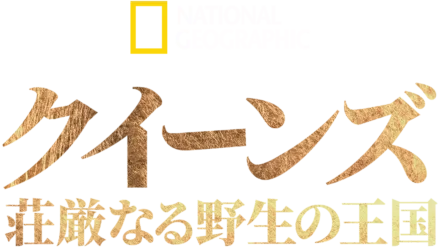 クイーンズ：荘厳なる野生の王国