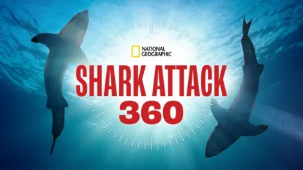 thumbnail - Shark Attack 360