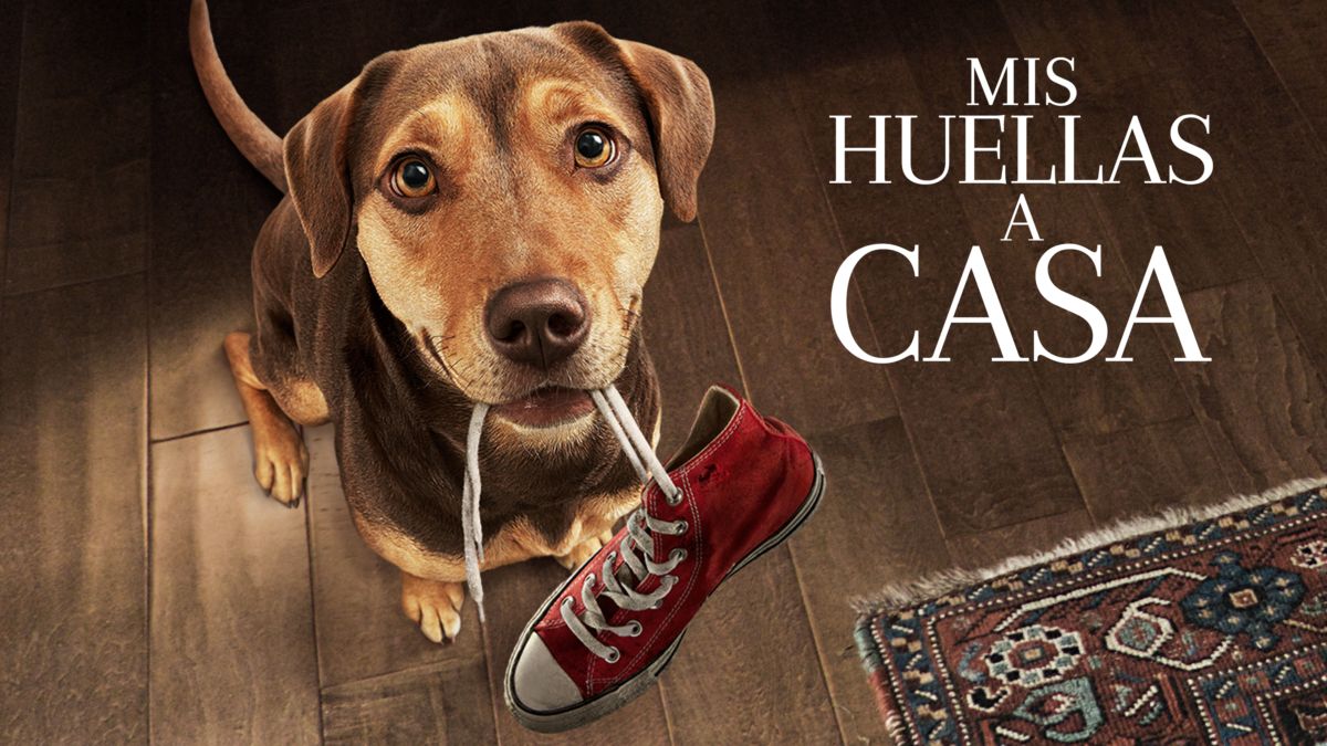 Mis huellas a casa Disney+