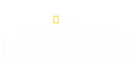 Les Secrets des Baleines