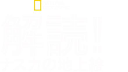 解読！ナスカの地上絵