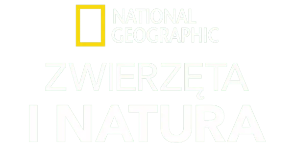 National Geographic – zwierzęta i natura Title Art Image