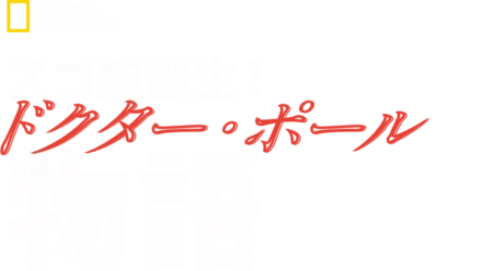 スゴ腕誕生！ドクター・ポール物語