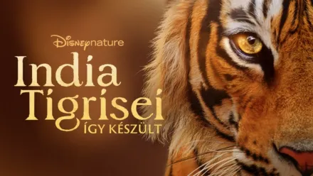 thumbnail - India tigrisei: Így készült