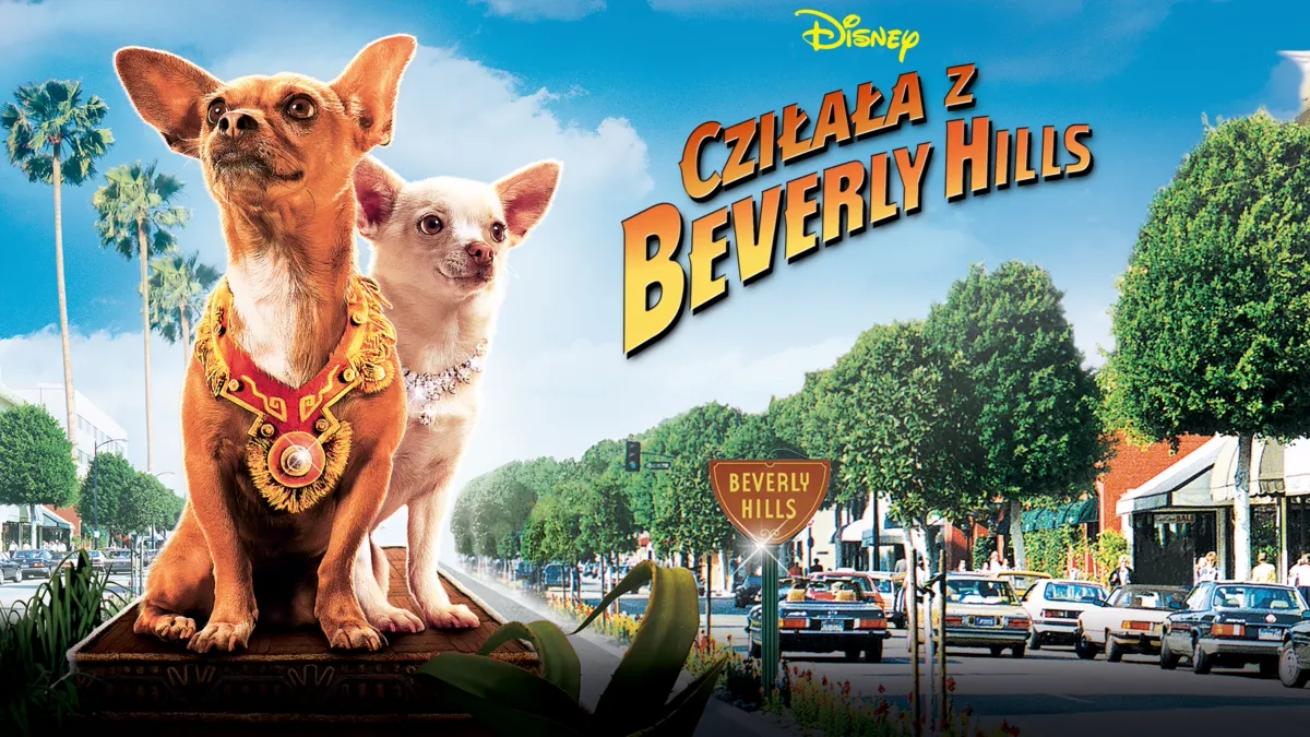 Oglądaj Cziłała z Beverly Hills | Disney+