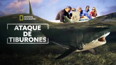 thumbnail - Ataque de tiburones