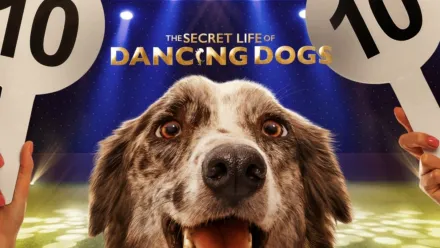 thumbnail - The Secret Life of Dancing Dogs