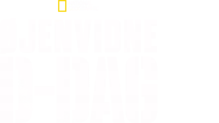 Øjenvidne: D-dag