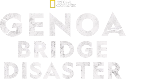 Genoa Bridge Disaster