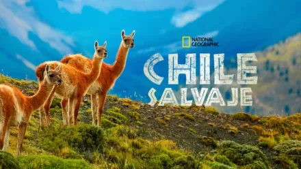thumbnail - Chile Salvaje