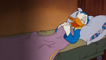 Bonne nuit Donald