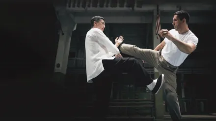 Ip Man 4 The Finale