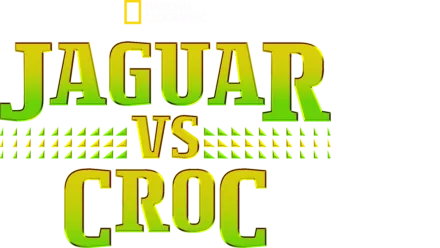 Jaguar vs. Croc