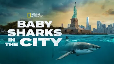 thumbnail - Baby Sharks in the City