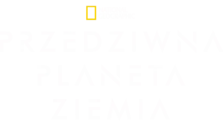 Przedziwna planeta Ziemia