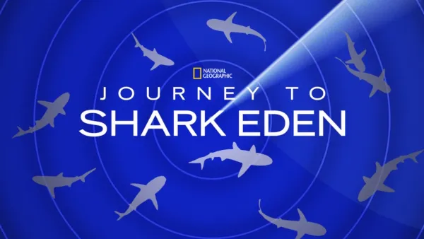 thumbnail - Journey to Shark Eden