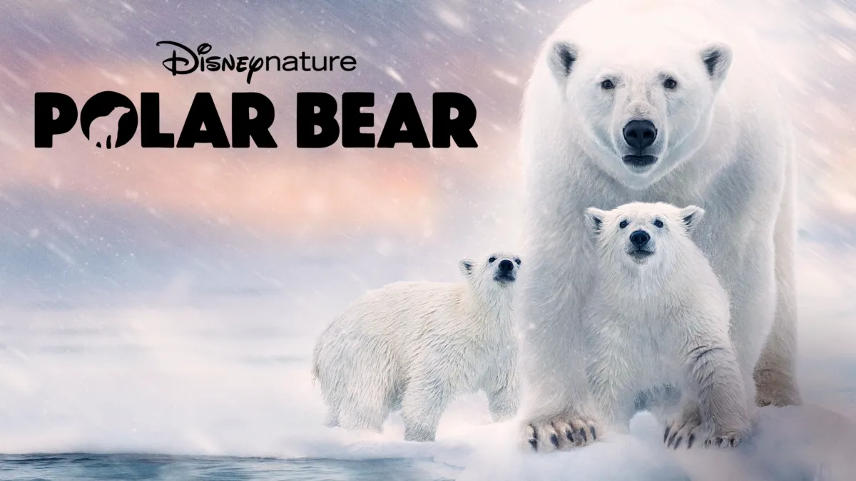 Polar Bear  On Disney+