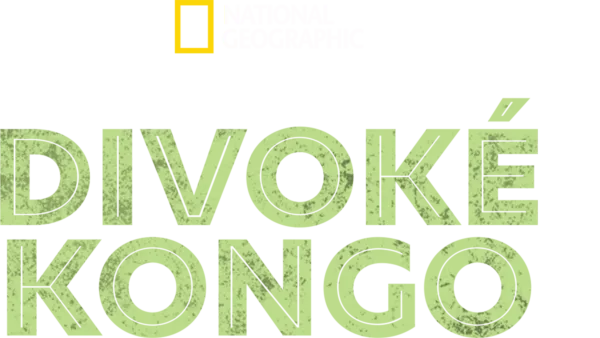 Divoké Kongo