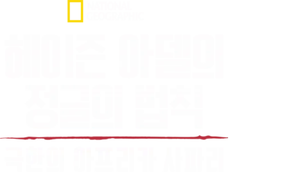 헤이즌 아델의 정글의 법칙: 극한의 아프리카 사파리