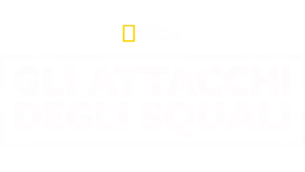 Gli attacchi degli squali