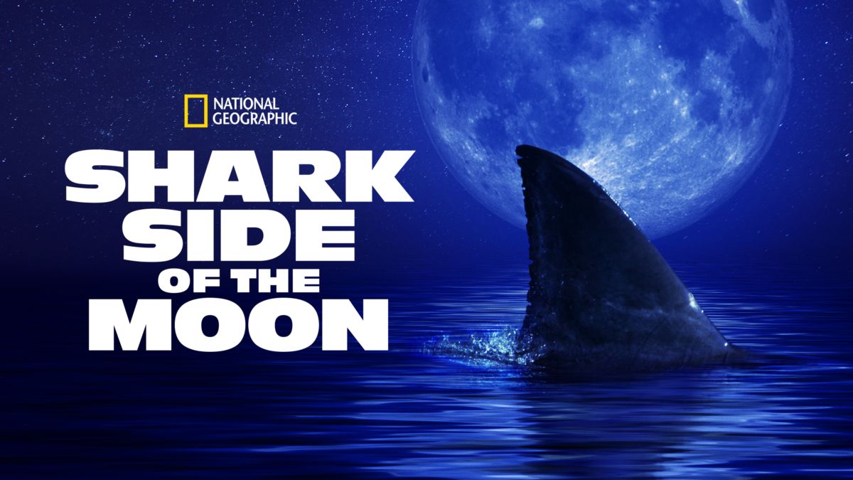 Xem phim Shark Side of the Moon Full VietSub - Thuyết Minh