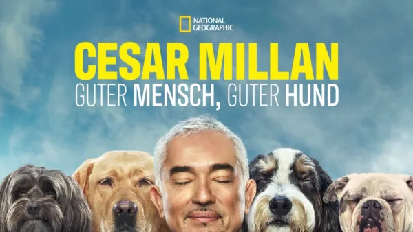 thumbnail - Cesar Millan: Guter Mensch, guter Hund