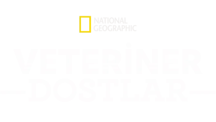 Veteriner Dostlar