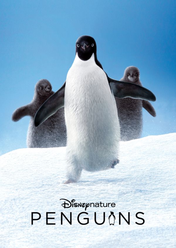 Disneynature Penguins on Disney+ NL