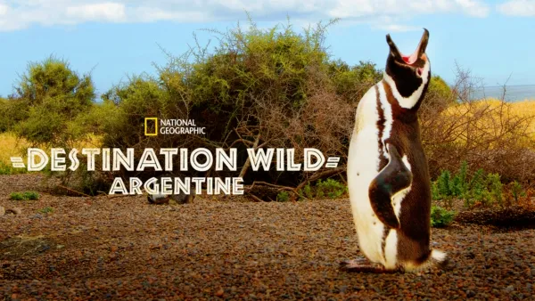 thumbnail - Destination Wild: Argentine