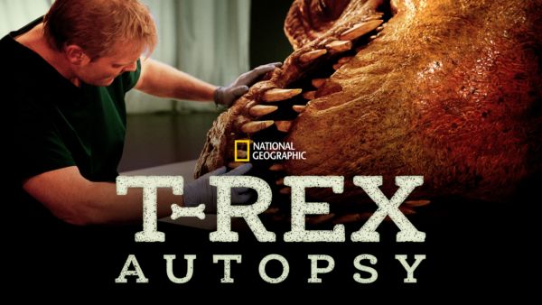 T. Rex Autopsy on Disney+ globally