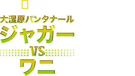 大湿原パンタナール：ジャガー vs ワニ