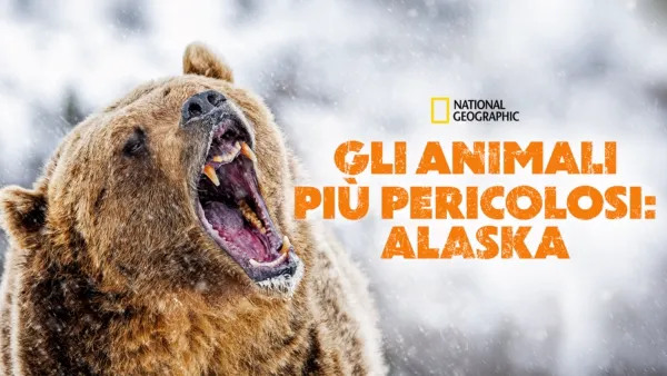 thumbnail - Gli animali più pericolosi: Alaska