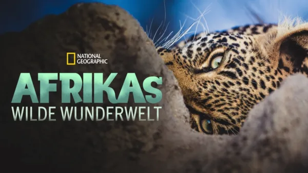 thumbnail - Afrikas wilde Wunderwelt