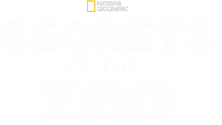 Secrets Of The Zoo