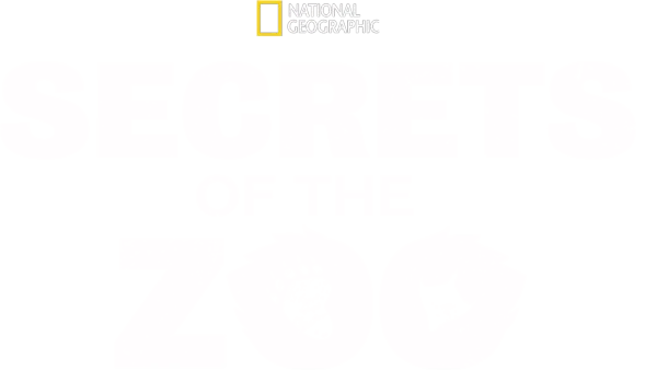 Os Segredos do Zoo