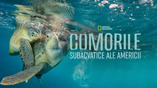thumbnail - Comorile subacvatice ale Americii