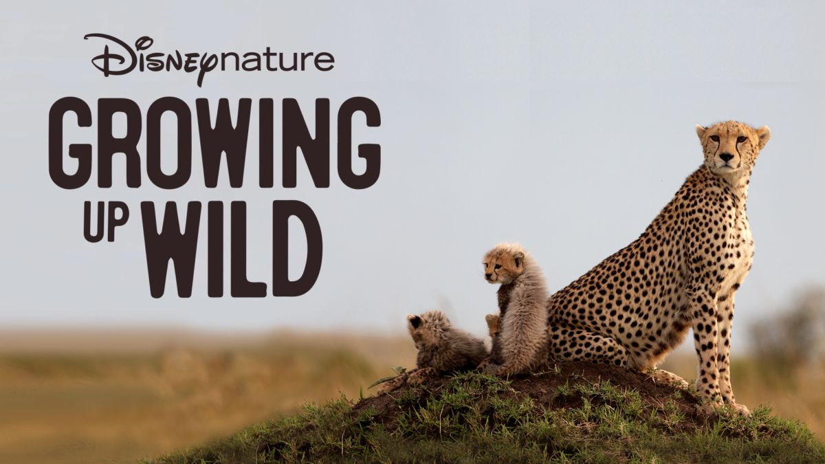 Watch Disneynature Growing Up Wild Full movie Disney+