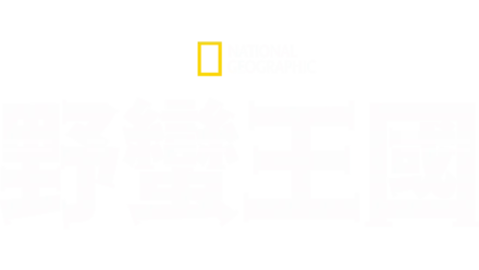 野蠻王國