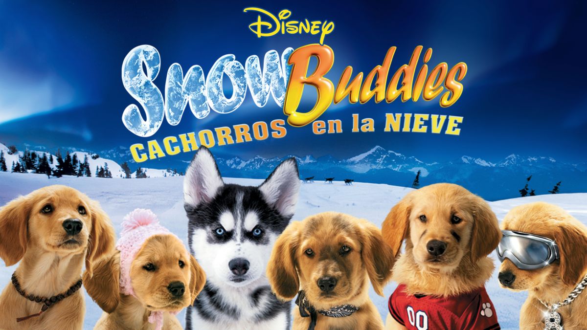 Ver Snow Buddies Cachorros en la nieve Película completa Disney+