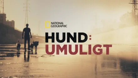 thumbnail - Hund: Umuligt