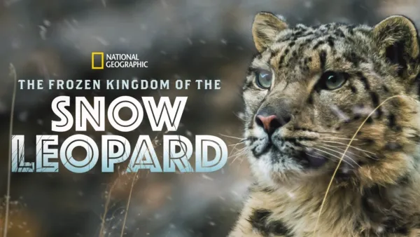 thumbnail - The Frozen Kingdom of the Snow Leopard