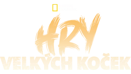 Hry velkých koček