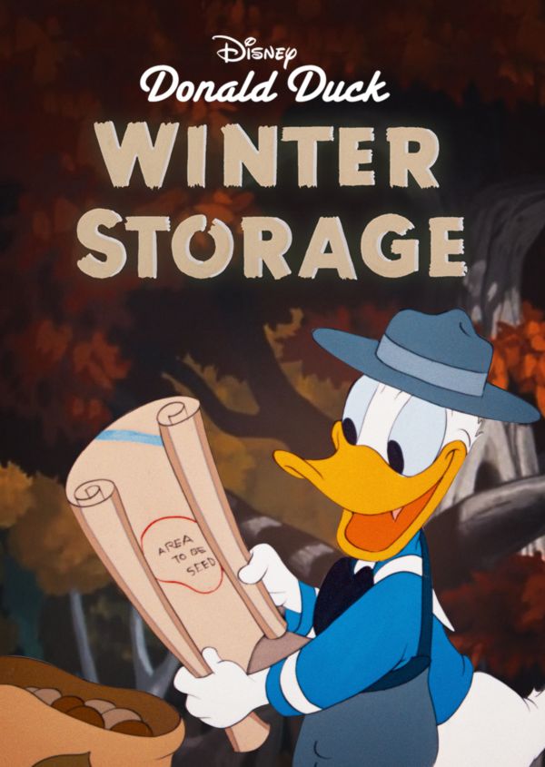 Winter Storage on Disney+ AU