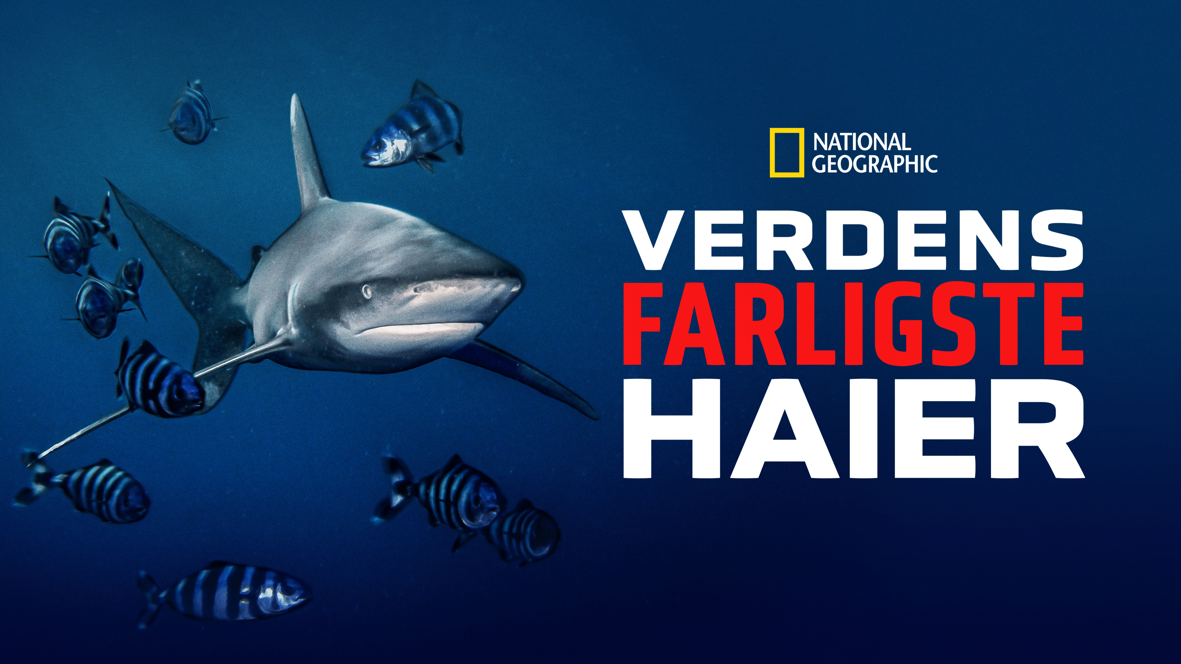 Se Verdens Farligste Haier | Hel Film | Disney