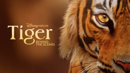 thumbnail - Tiger – Behind the scenes
