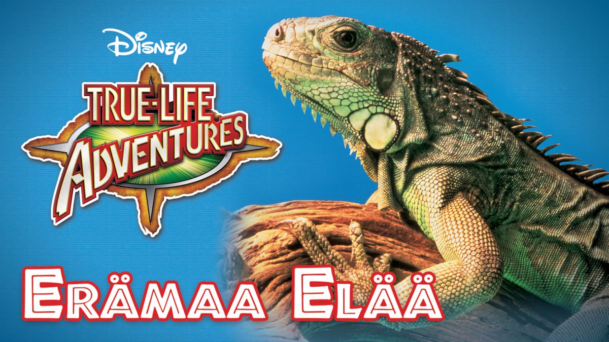 er-maa-el-disney