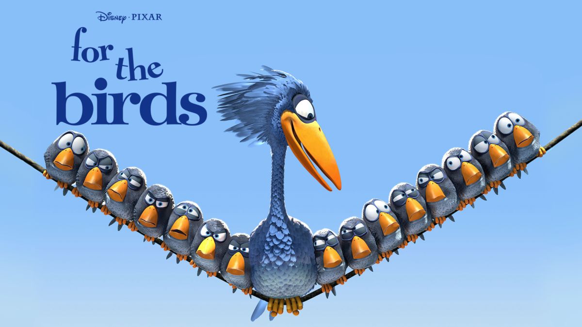 Watch For the Birds | Disney+