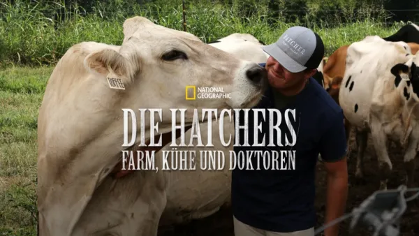 thumbnail - Die Hatchers - Farm, Kühe und Doktoren