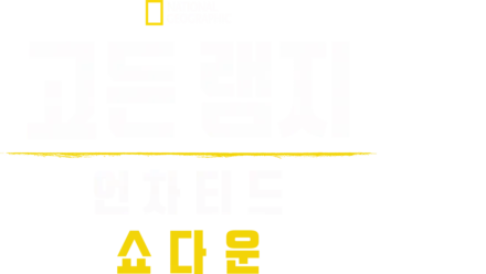 고든 램지: 언차티드 쇼다운